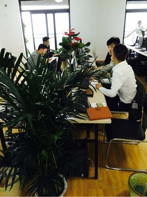 武漢金誠匯譽商務信息咨詢 專業服務助力企業發展